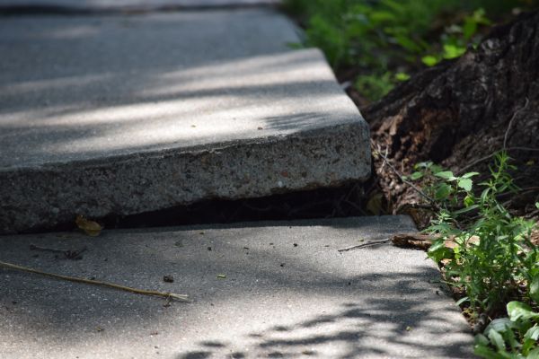Cost of Concrete Lifting in Sun City Center